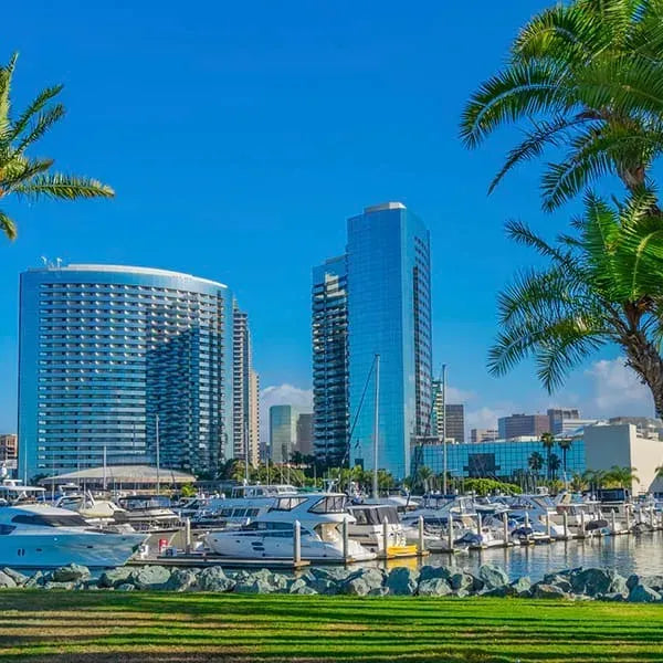 A Journey Through San Diego