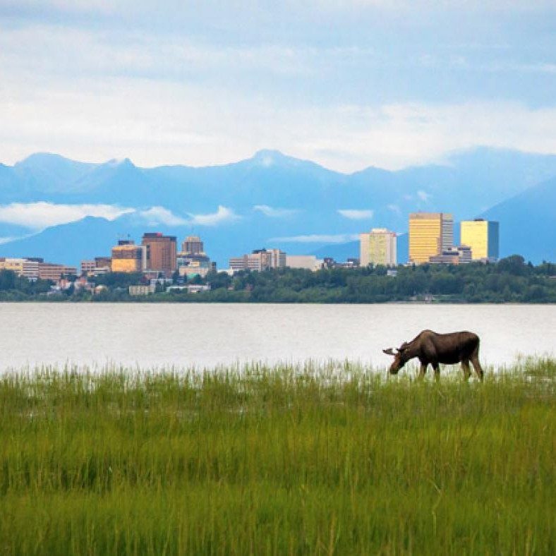 Anchorage: Echoes of the North