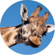 cuidadores del zoológico